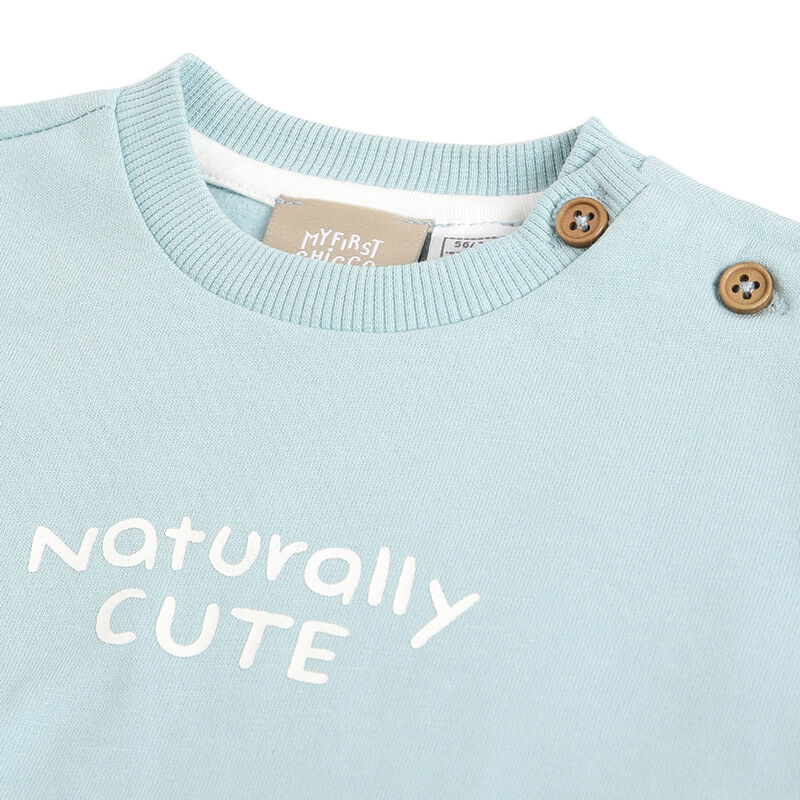 Boys Light Green Printed Sweatshirt image number 2